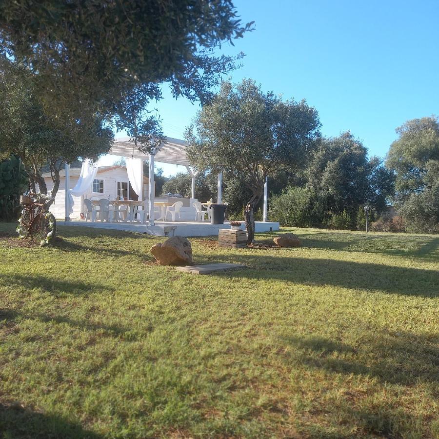 B&B Gli Ulivi SantʼAnna Arresi 外观 照片