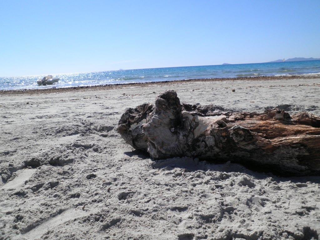 B&B Gli Ulivi SantʼAnna Arresi 外观 照片