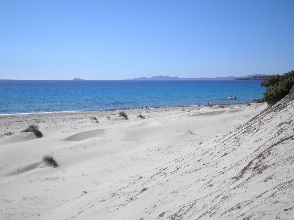B&B Gli Ulivi SantʼAnna Arresi 外观 照片