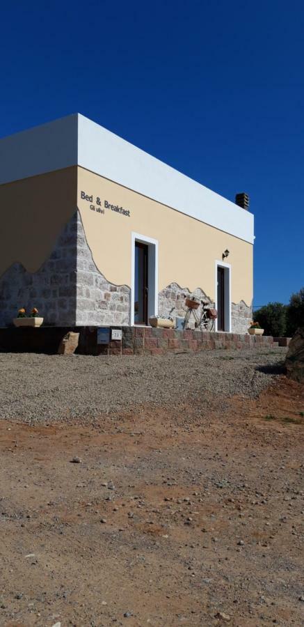 B&B Gli Ulivi SantʼAnna Arresi 外观 照片