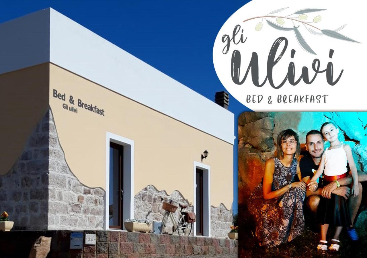 B&B Gli Ulivi SantʼAnna Arresi 外观 照片